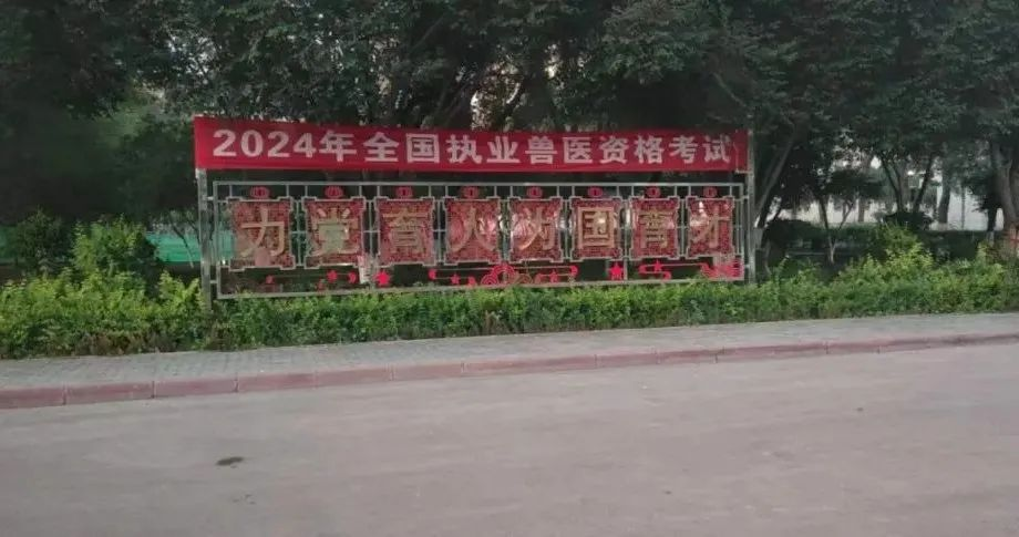 图片 12.png